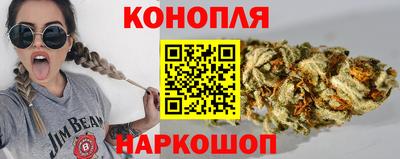 ALPHA PVP Гатчина