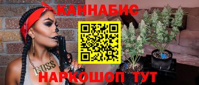 шишки Гай