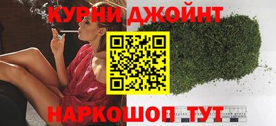 шишки Гай