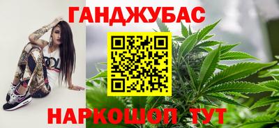 шишки Гай
