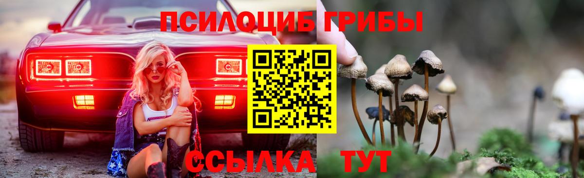 Мытищи  Галлюциногенные грибы GOLDEN TEACHER  магазин продажи   Вход с VPN 